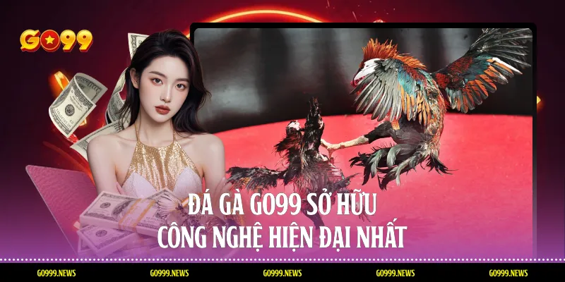 Đá gà Go99 sở hữu công nghệ hiện đại nhất 