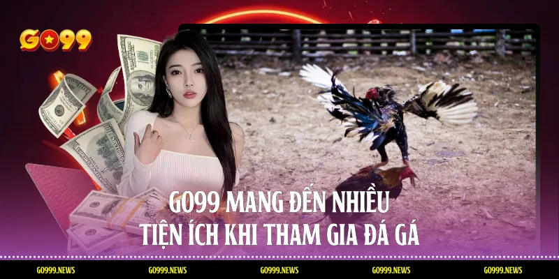 Go99 mang đến nhiều tiện ích khi tham gia đá gá