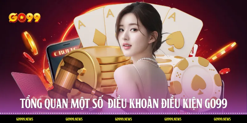 Tổng quan một số  điều khoản điều kiện Go99